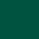13 vert mousse