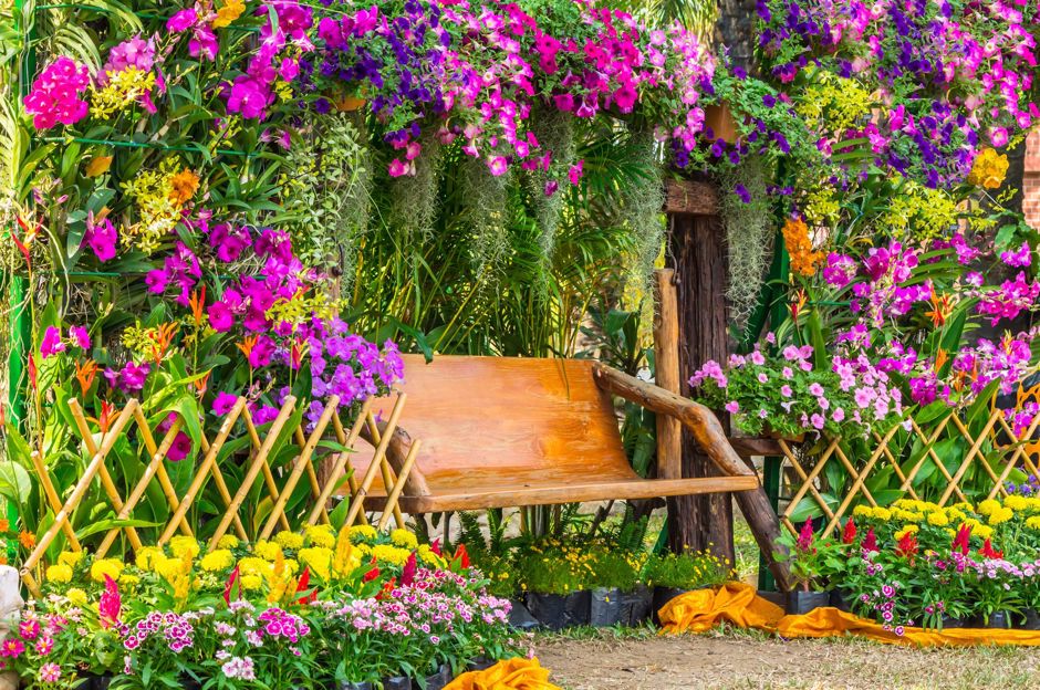 Jardin parfumé: fleurs et arbustes avec la plus belle odeur