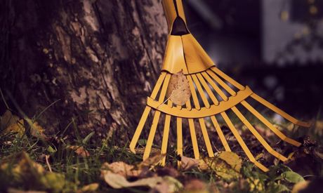 Nettoyage automnal: laver les fenêtres, les brise-soleil et la pergola avant que le froid arrive