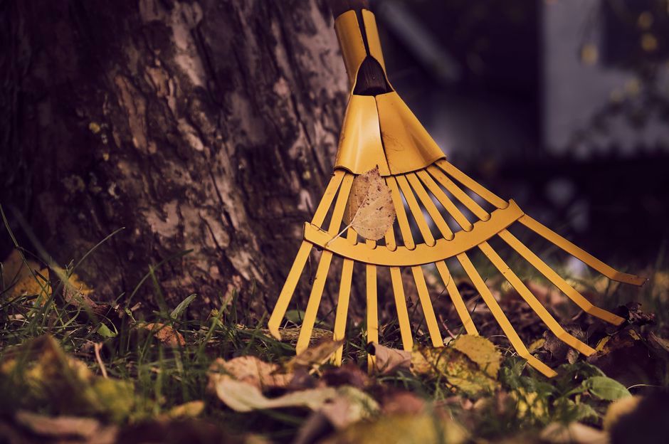 Nettoyage automnal: laver les fenêtres, les brise-soleil et la pergola avant que le froid arrive