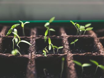 Avantages du jardin durable