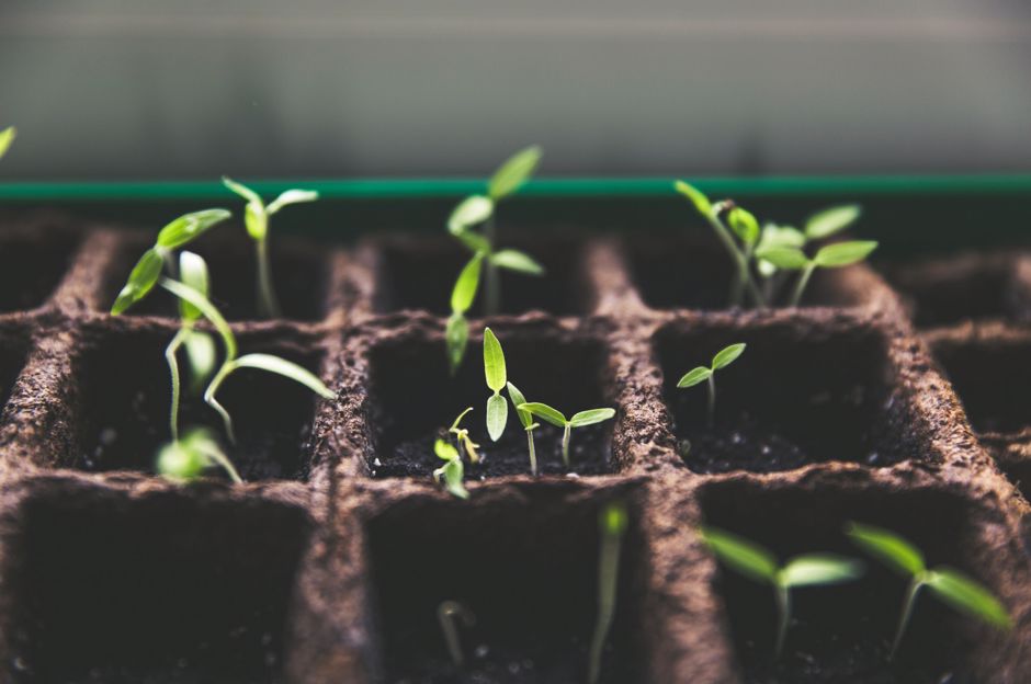 Avantages du jardin durable