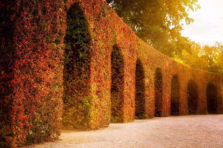 Quoi faire dans le jardin en automne?