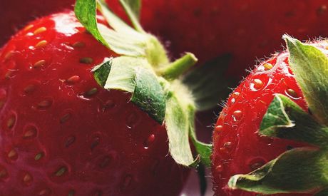 Été dans le jardin: travail et repos