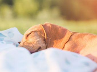 Vous dormez facilement ou difficilement? Vous avez besoin de quelle protection solaire?