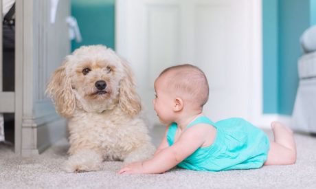 Changements dans la vie: naissance d’un bébé