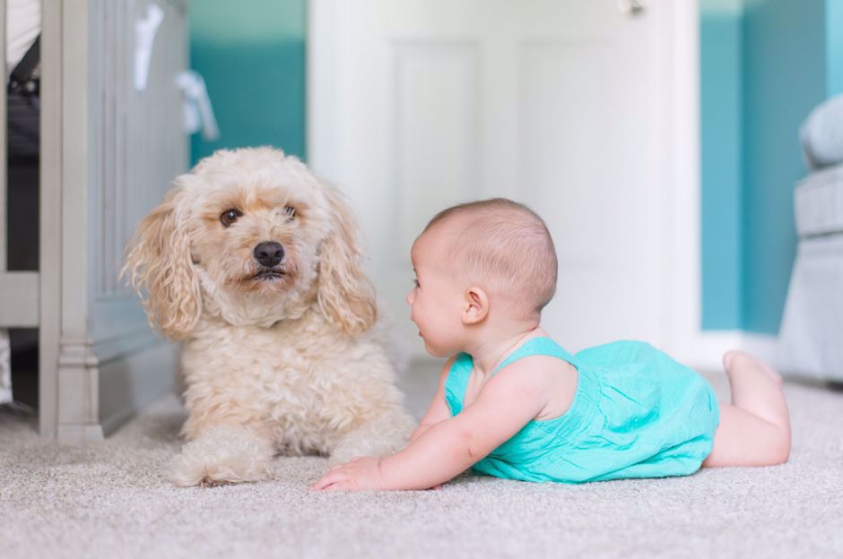 Changements dans la vie: naissance d’un bébé