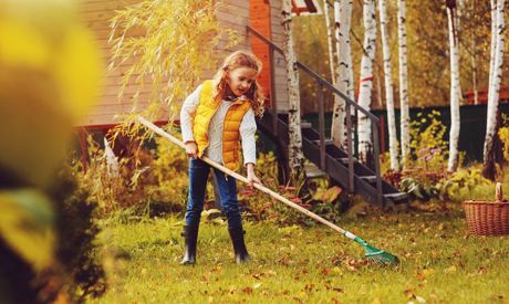Novembre dans le jardin – comment hiverner le mieux possible le jardin potager
