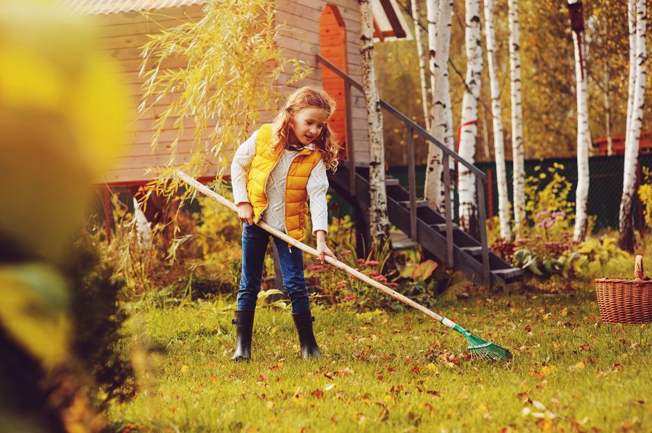 Novembre dans le jardin – comment hiverner le mieux possible le jardin potager