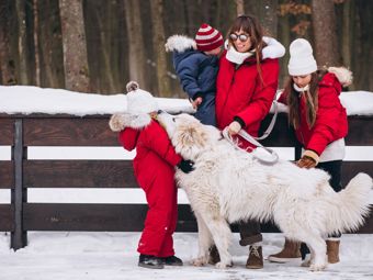 Comment s’amuser en hiver: Activités hivernales en plein air pour toute la famille