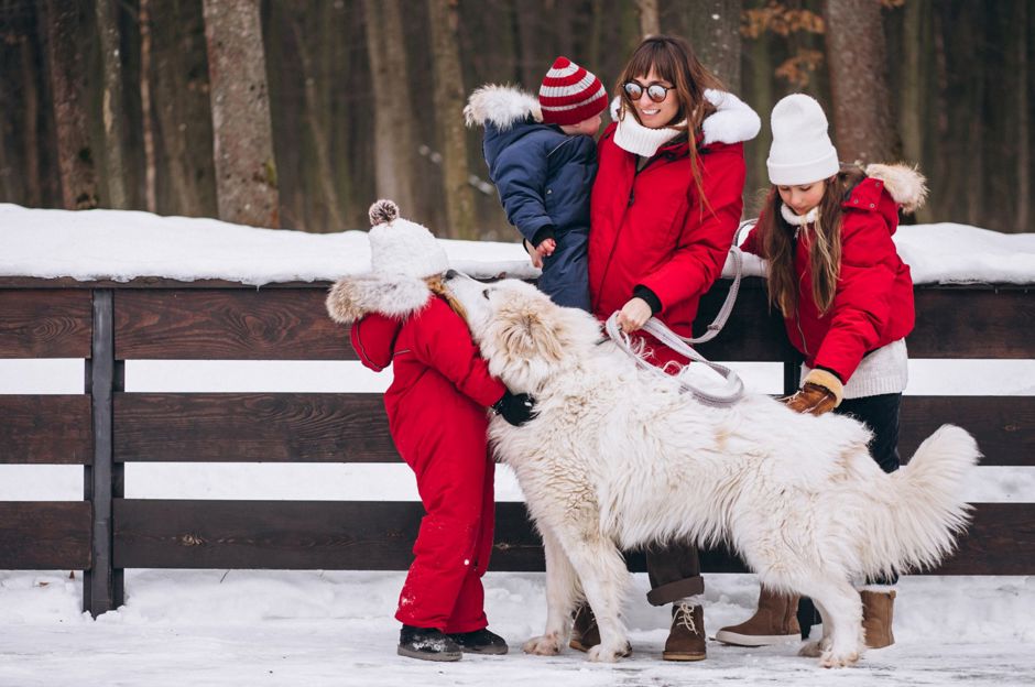 Comment s’amuser en hiver: Activités hivernales en plein air pour toute la famille