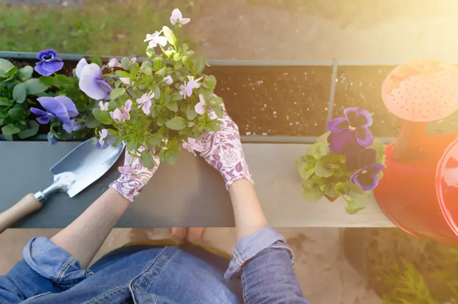 Caisses automnales: comment on peut décorer le balcon ou l’appui de fenêtre au mois de septembre?