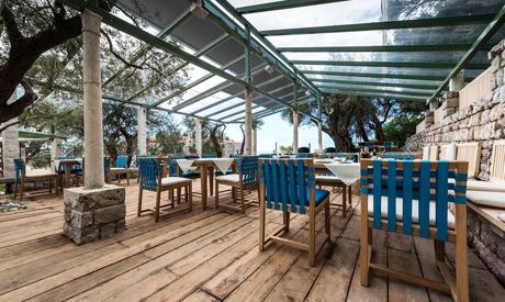 Comment assurer la protection solaire du jardin d'hiver en été ?