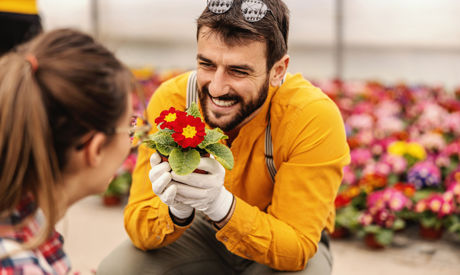 Le février est un mois clé pour planifier le jardin printanier