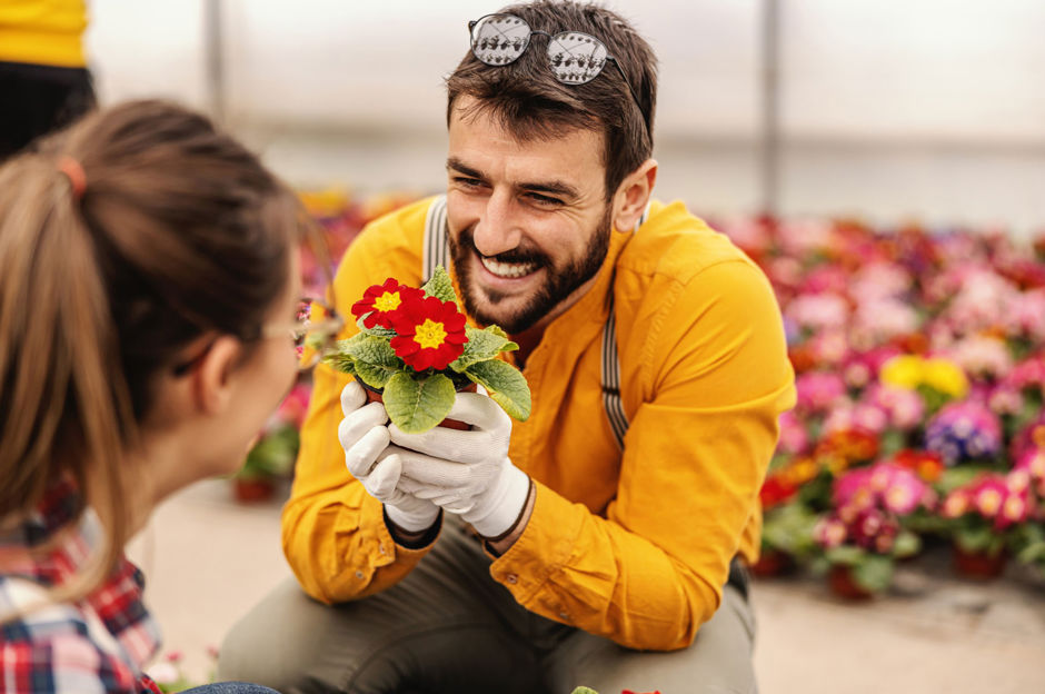 Le février est un mois clé pour planifier le jardin printanier