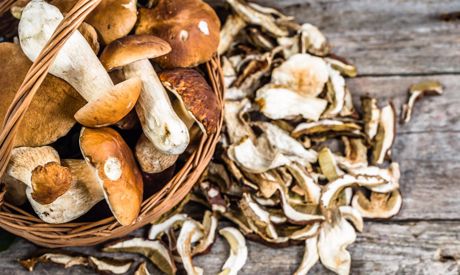 Comment conserver les champignons? Congélation, séchage et conservation des champignons!