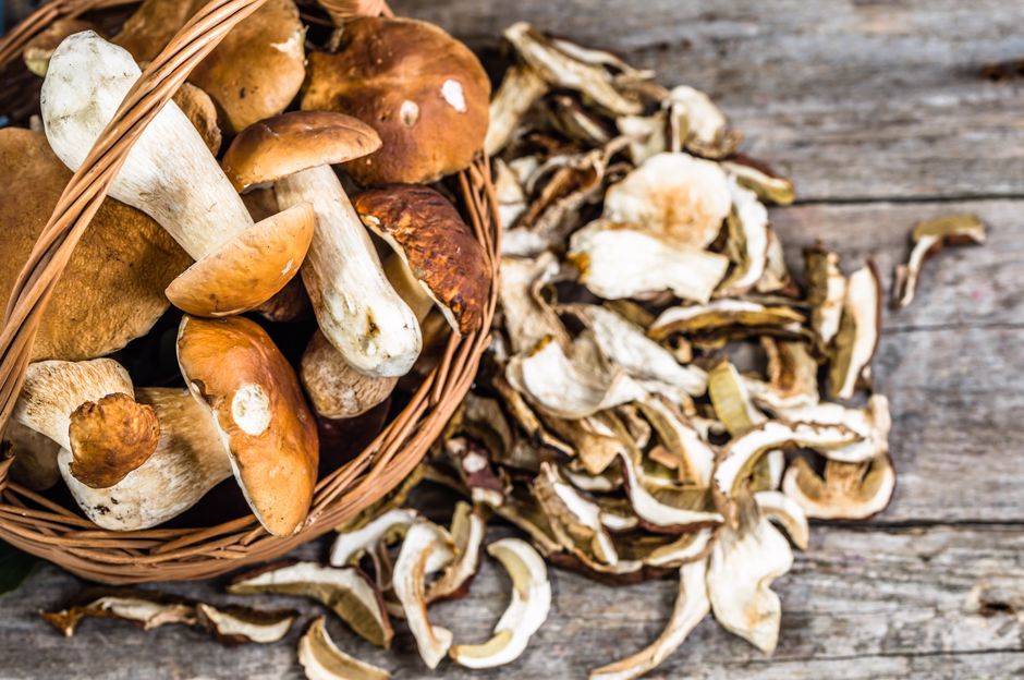 Comment conserver les champignons? Congélation, séchage et conservation des champignons!
