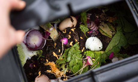 Les dernières tendances dans le jardin : quelles pergolas sont à la mode et pourquoi composter?