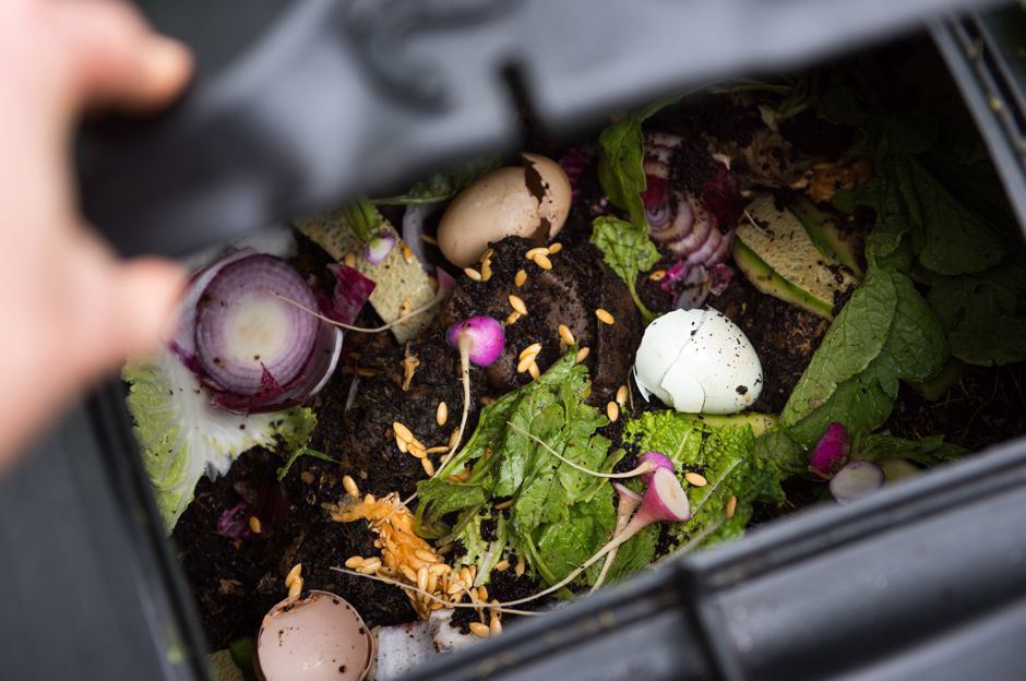 Les dernières tendances dans le jardin: quelles pergolas sont à la mode et pourquoi composter?