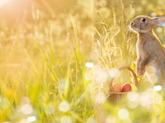 Comment célébrer Pâques à la maison?