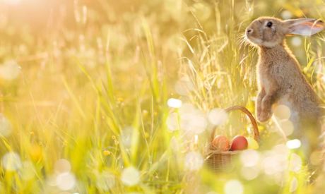 Comment célébrer Pâques à la maison?