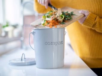 Comment commencer à composter: on peut avoir un lombricomposteur même dans un appartement