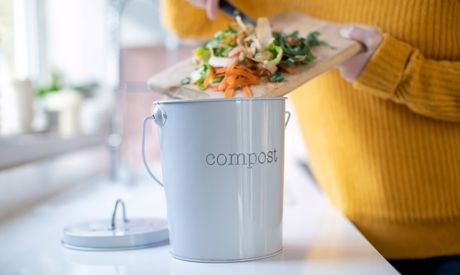 Comment commencer à composter: on peut avoir un lombricomposteur même dans un appartement