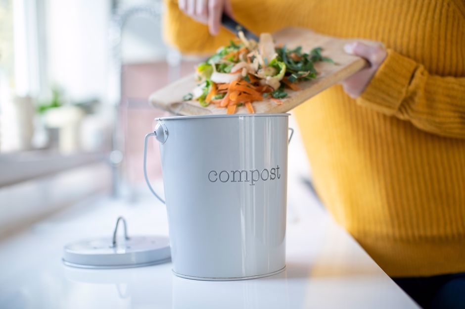 Comment commencer à composter: on peut avoir un lombricomposteur même dans un appartement